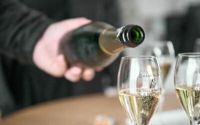 Champagne Blanc de Blancs : un terroir Premier cru pour accompagner vos petits et grands moments