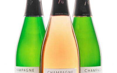 Champagne dans la Côte des Blancs : dégustez un cru à la robe dorée grâce au savoir-faire d’un vigneron expert