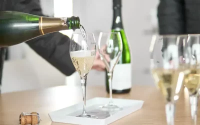 Champagne Blanc de Blancs : un terroir Premier cru pour accompagner vos petits et grands moments